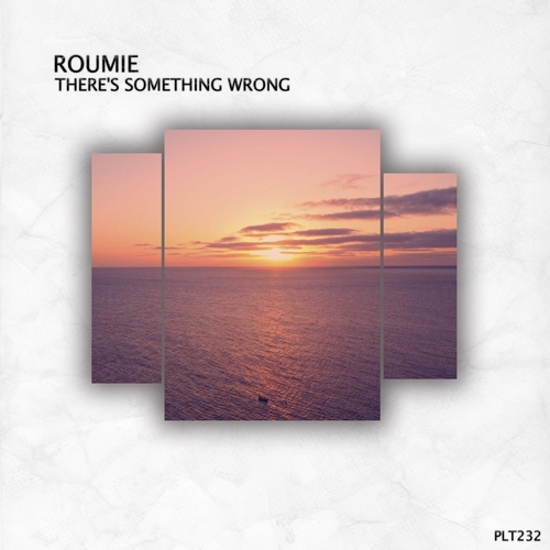 Roumie - There's Something Wrong [PLT232]